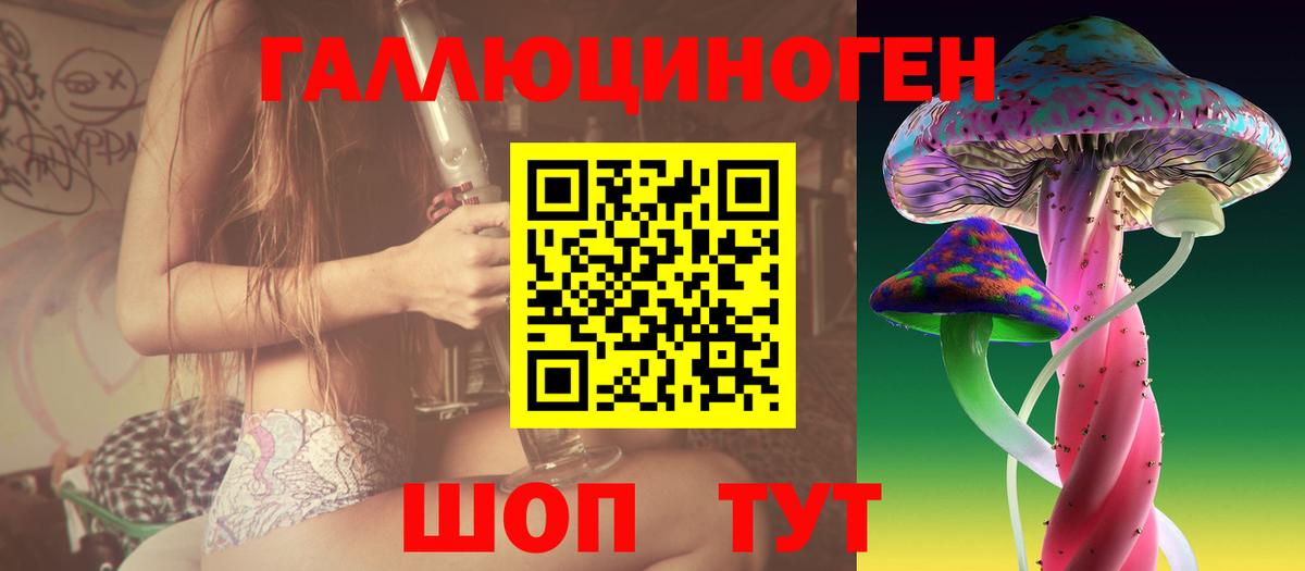 Псилоцибиновые грибы Cubensis  Вход с VPN  Кудрово 